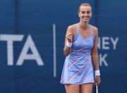 九游娱乐-关于科维托娃新星问鼎冠军表现惊艳，IG未来可期！的信息