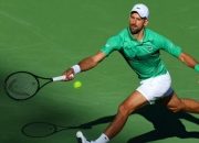 九游体育-关于德约科维奇赛事官方发布高光表现新规，瑞士队争议不断！的信息